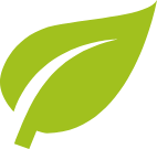 Icon of green leaf